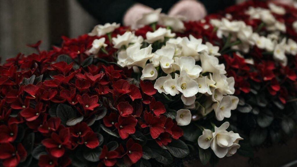 Luto victoriano: un recuerdo sombrío y blanco