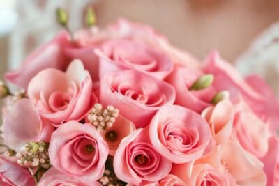 Jacintos vibrantes evocan un ambiente soñador