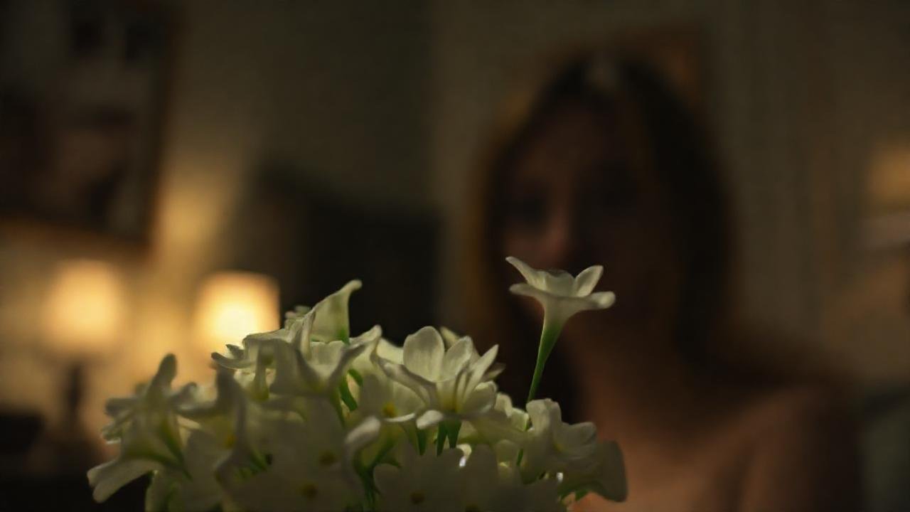 Un ramo blanco sutilmente melancólico