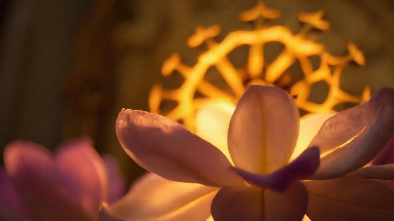 Flor jacinto dorada, aura religiosa soñadora