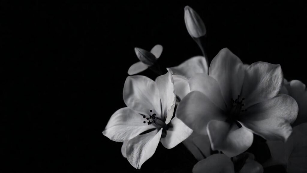 Un ramo floral lujoso y elegante