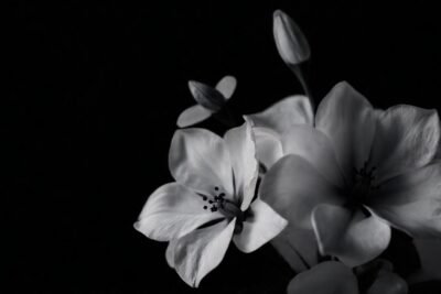 Un ramo floral lujoso y elegante