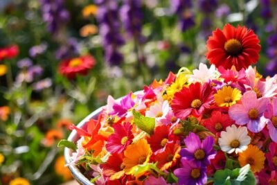 Una ensalada vibrante y alegre en flor