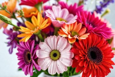 Flores frescas evocan belleza y elegancia