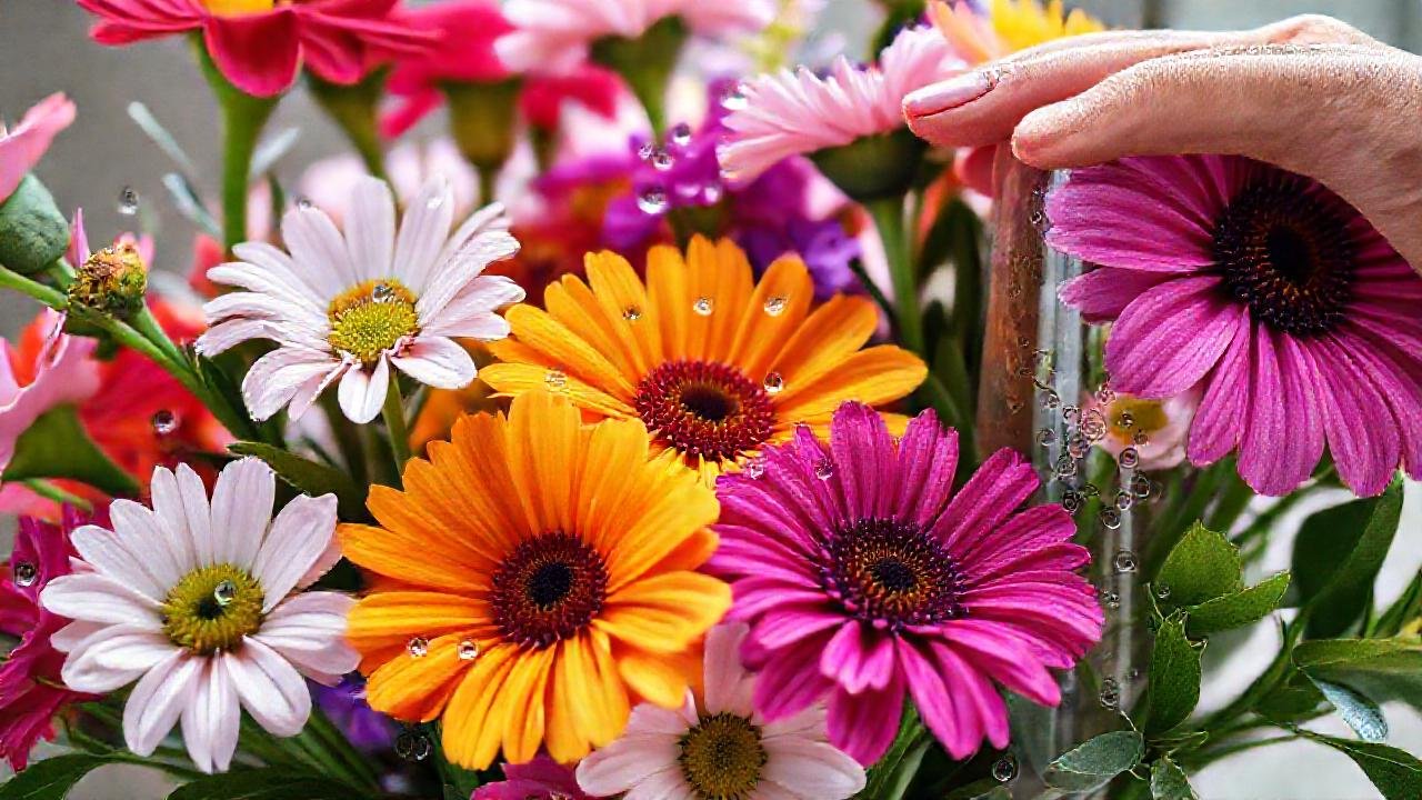 Flores frescas evocan calma y esperanza