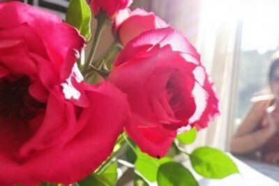 Una mujer contempla rosas marchitas y descoloridas