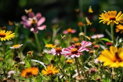 Flores silvestres vibrantes en un bosque