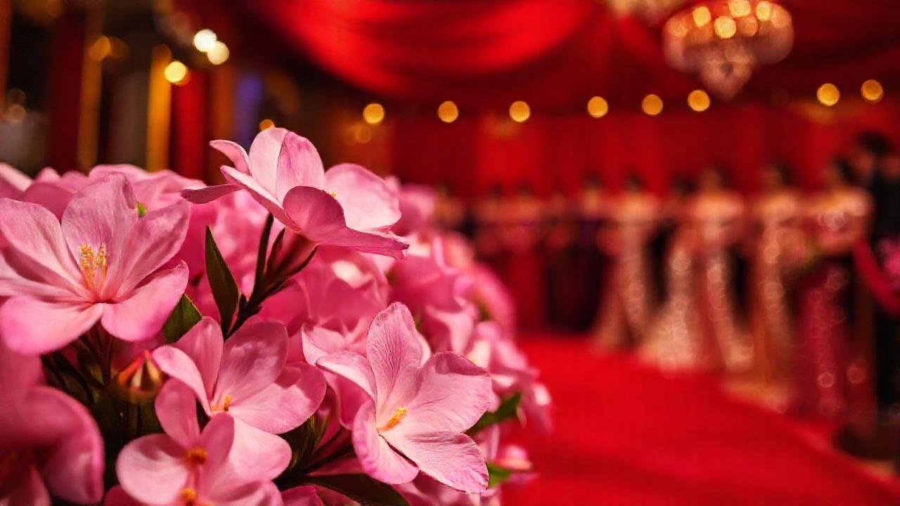 Una noche de glamour y belleza