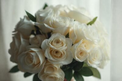 Rosas blancas evocan romance y nostalgia