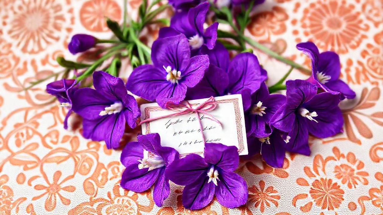 Jacintos morados adornan culturas con elegancia