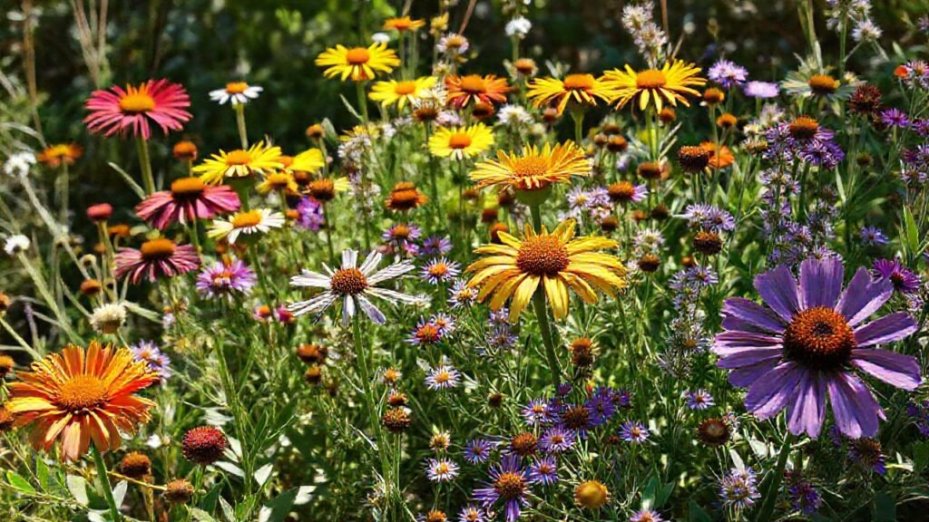 Flores silvestres evocan serenidad y color