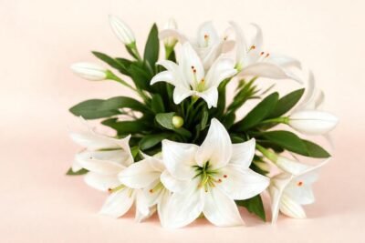 Un ramo elegante evoca romance sutil