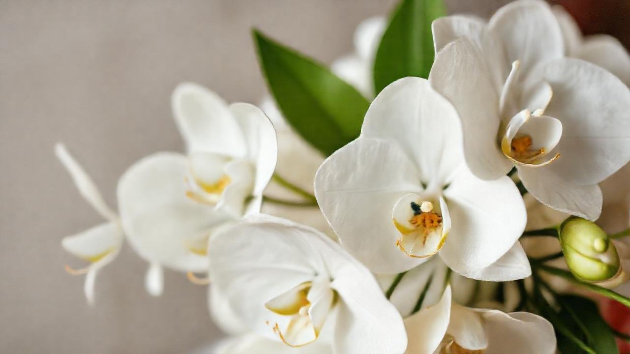 Orquídeas blancas elegantes, bouquet nupcial romántico